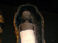 Tuananchamun-Ausstellung Reise in die Ewigkeit   2013-08-03-Tutanchamun (130) -->